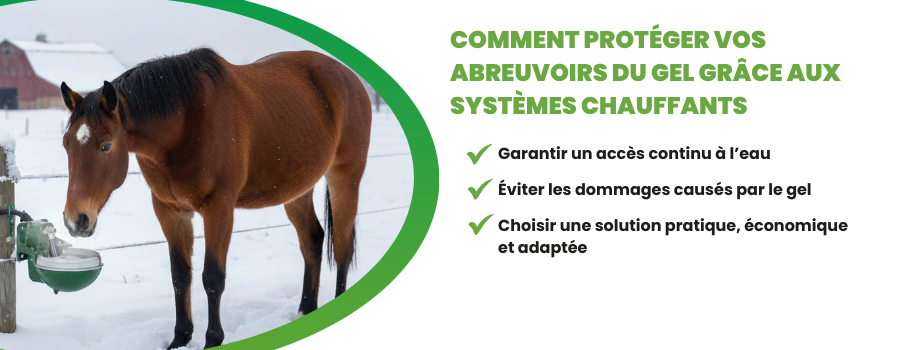 Cheval avec un abreuvoir chauffant