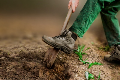 Chaussures de sécurité pour les métiers agricoles