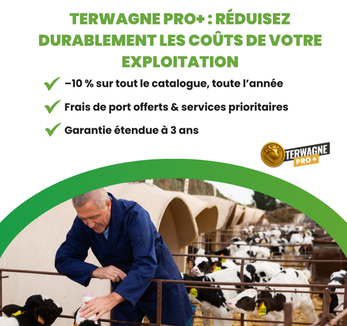 Veaux se faisant caresser par un éleveur