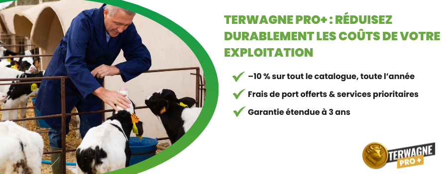 éleveur qui caresse les veaux