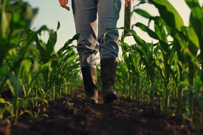 Homme en bottes dans un champ