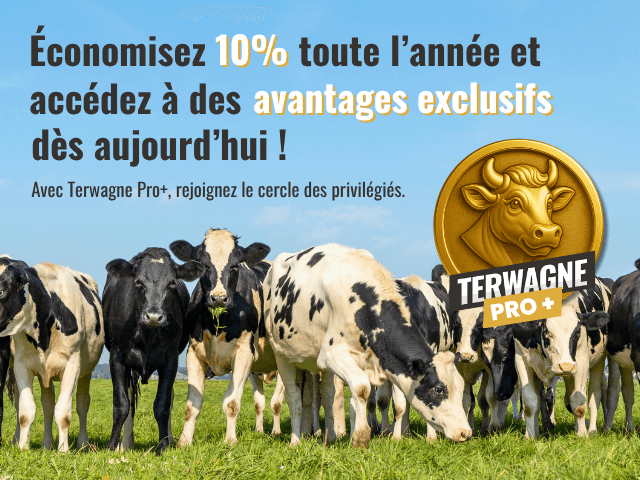 Économisez 10% toute l'année
