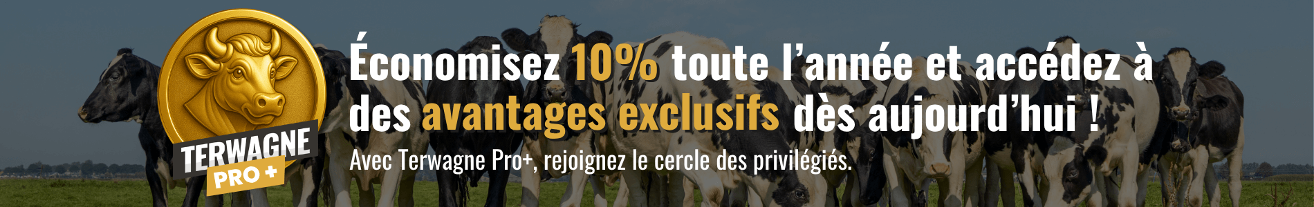 Économisez 10% toute l'année
